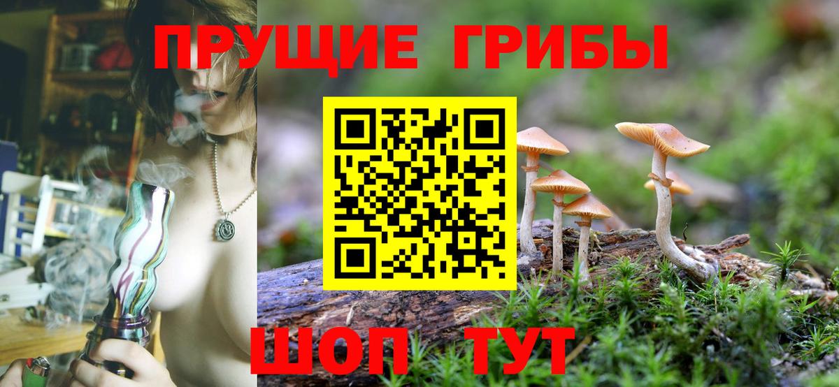 Псилоцибиновые грибы Psilocybe  Вход с VPN  Сургут 