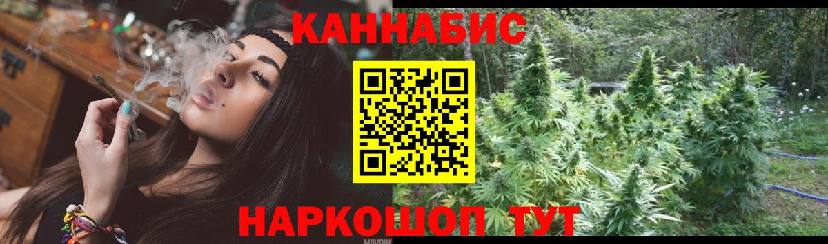 Шишки марихуана OG Kush  Канабис тримм  Вход с VPN  Бошки Шишки семена  Сургут 